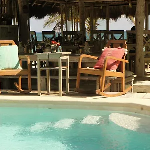 https://punta-piedra-beach-posada.allrivieramayahotels.com